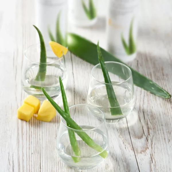 herbalife detoks suyu fiyatları